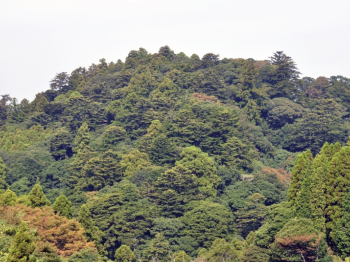 林業遺産 千葉演習林・浅間山「日本最初の、大学の森」