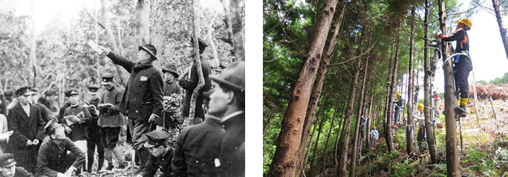 成長測定100年 「森の成長を測り続けて100年。」 成長測定100年「森の成長を測り続けて100年。」