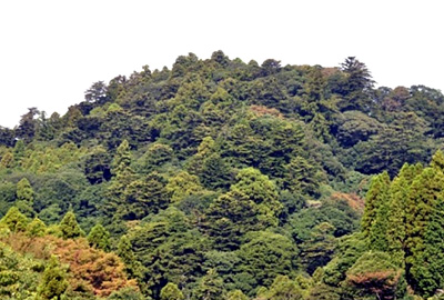 浅間山「信仰によって守られた森林」
