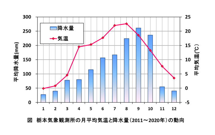 栃本気象観測所の月平均気温と降水量（2011～2020年）の動向