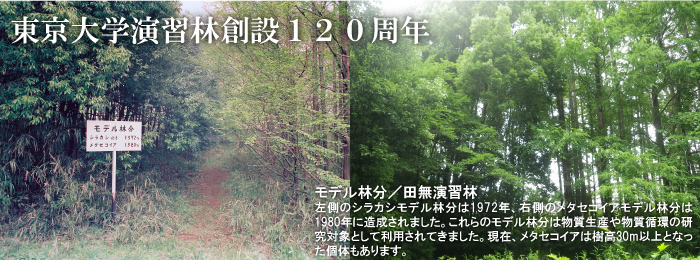http://www.uf.a.u-tokyo.ac.jp/news/image/Tanashi_top_topimg3.jpg
