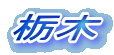 Ȗ