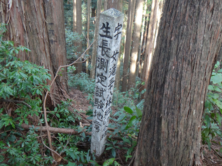 超長期研究「森の成長を測り続けて100年。」