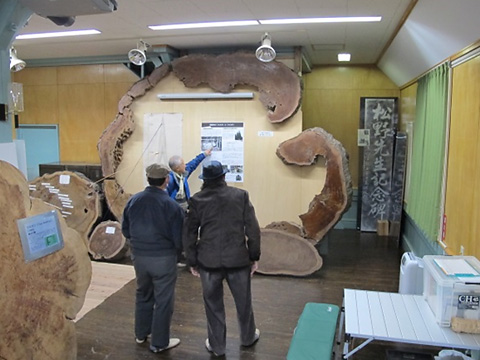 森林博物資料館一般公開 森林博物資料館一般公開
