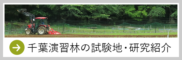 千葉演習林の試験地・研究紹介