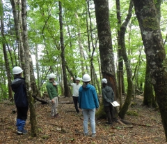全学体験ゼミナール（東京大学１,2年生向け）「森に学ぶ＿林業を意識する低山歩きと森林生態系を意識する奥山歩き」・「森に学ぶ＿森林・林業を意識する低山歩き」