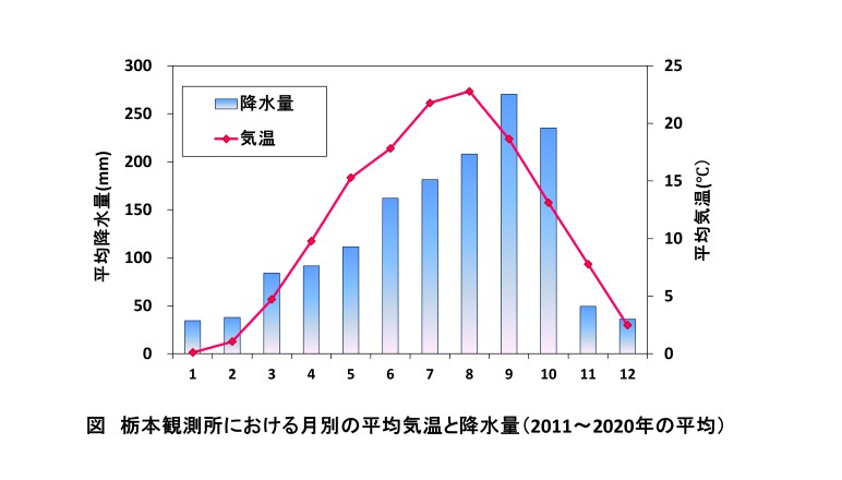 栃本観測所における月別の平均気温と降水量(2011~2020年の平均) 栃本観測所における月別の平均気温と降水量(2011~2020年の平均)