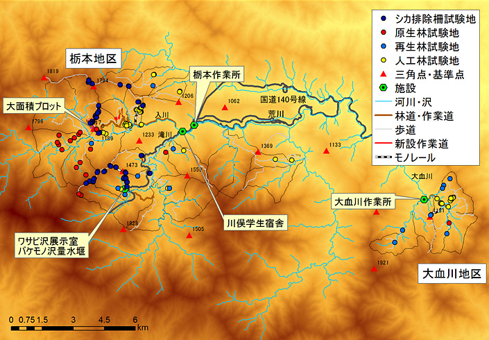 試験地全体マップ