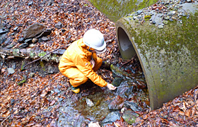 渓流水の水質調査