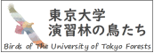 東大演習林の鳥たち