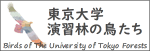 東京大学演習林の鳥たち