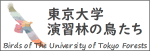 東京大学演習林の鳥たち