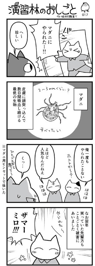 4koma_morikara003.jpg