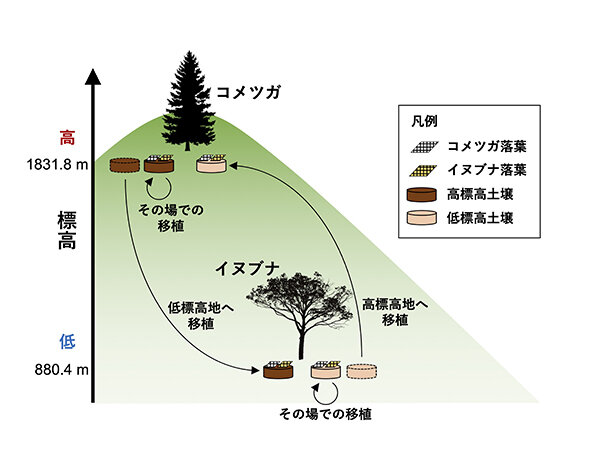 morikara5_research1_fig1.jpg