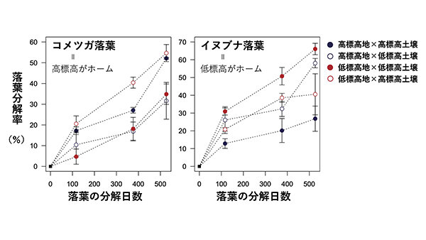 morikara5_research1_fig2.jpg