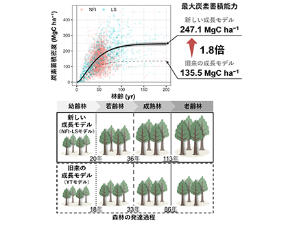 morikara7_research2_fig1.png
