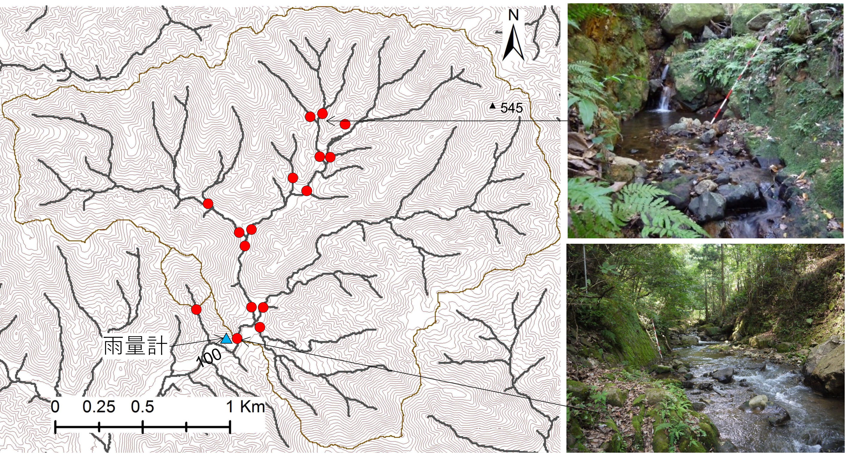 morikara2_research2_fig2.png