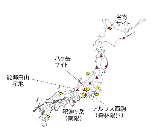 morikara3_research1_fig1.jpg