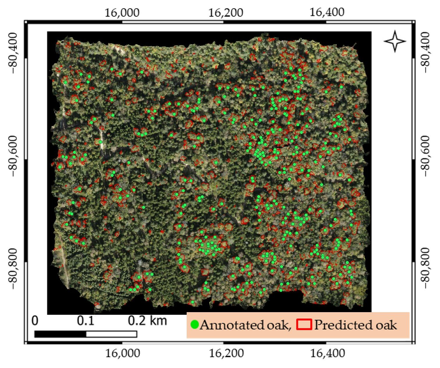 morikara4_research2_fig2.jpg